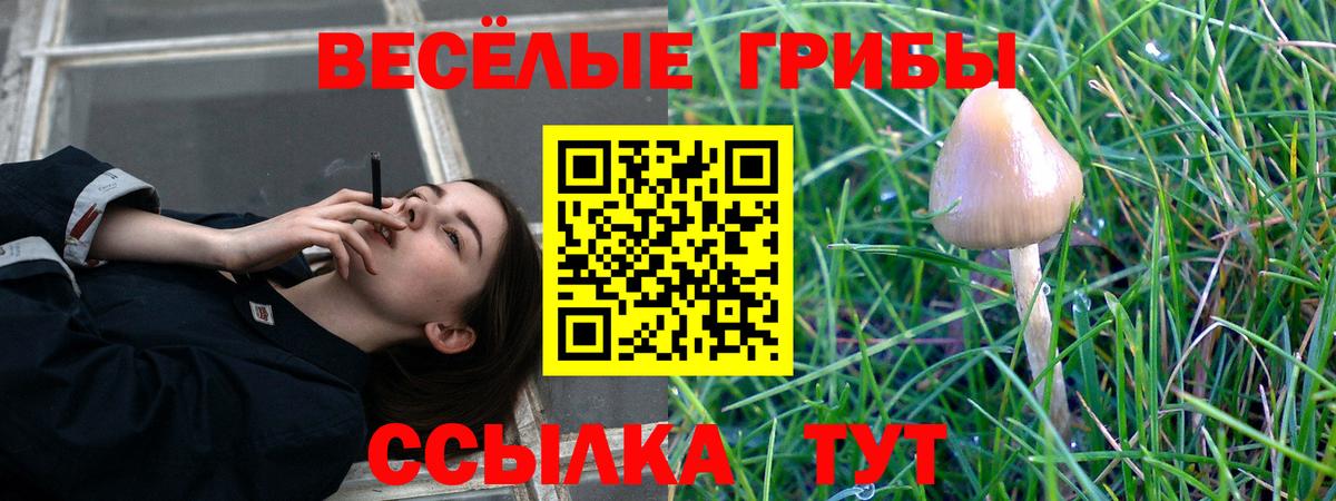 Галлюциногенные грибы GOLDEN TEACHER  Галлюциногенные грибы мухоморы  Вход с VPN  Киселёвск 