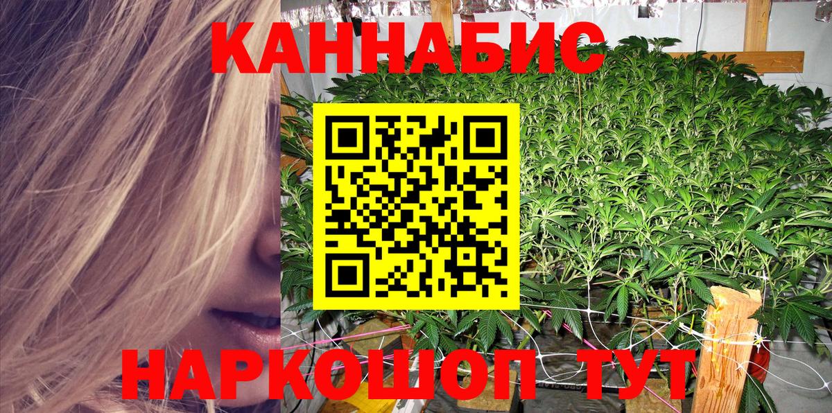 Шишки марихуана конопля Киселёвск
